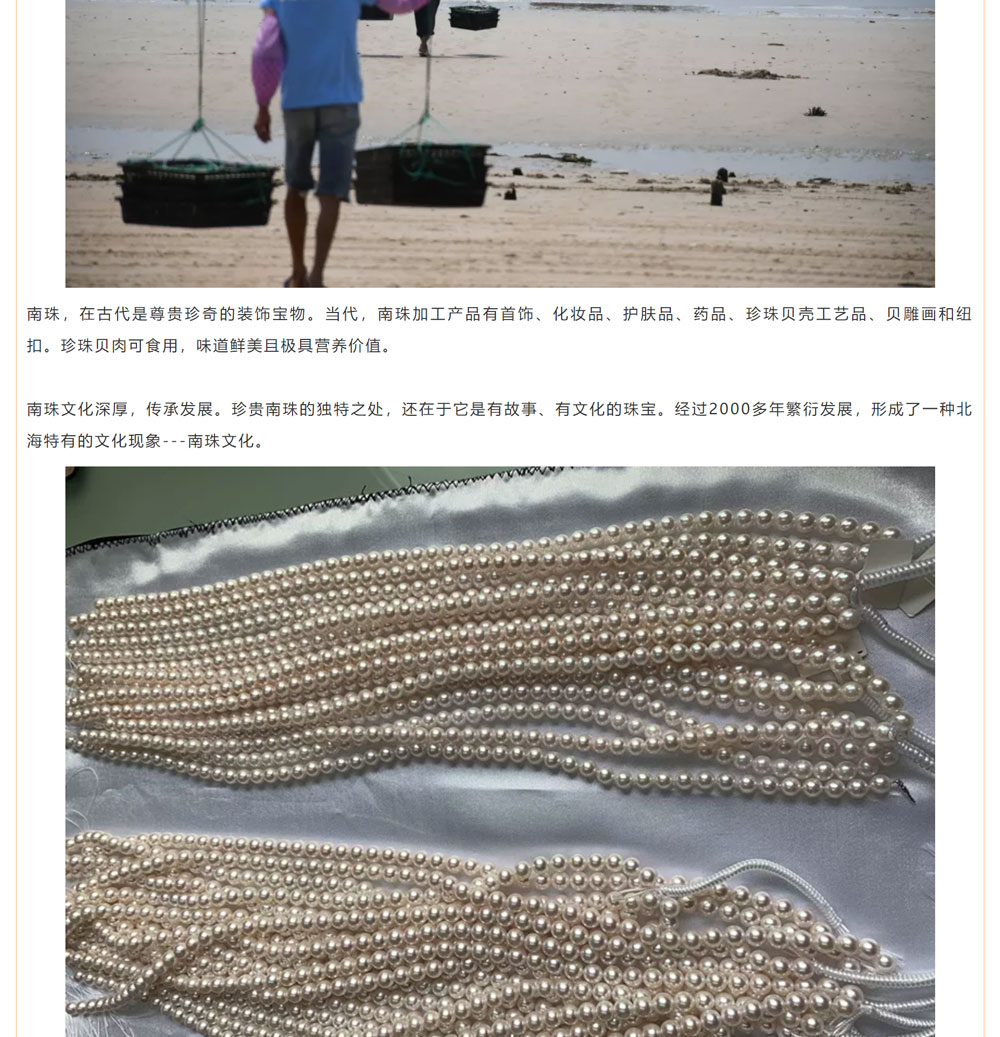 古老南珠，綻放異彩