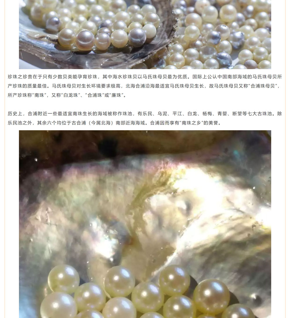 古老南珠，綻放異彩