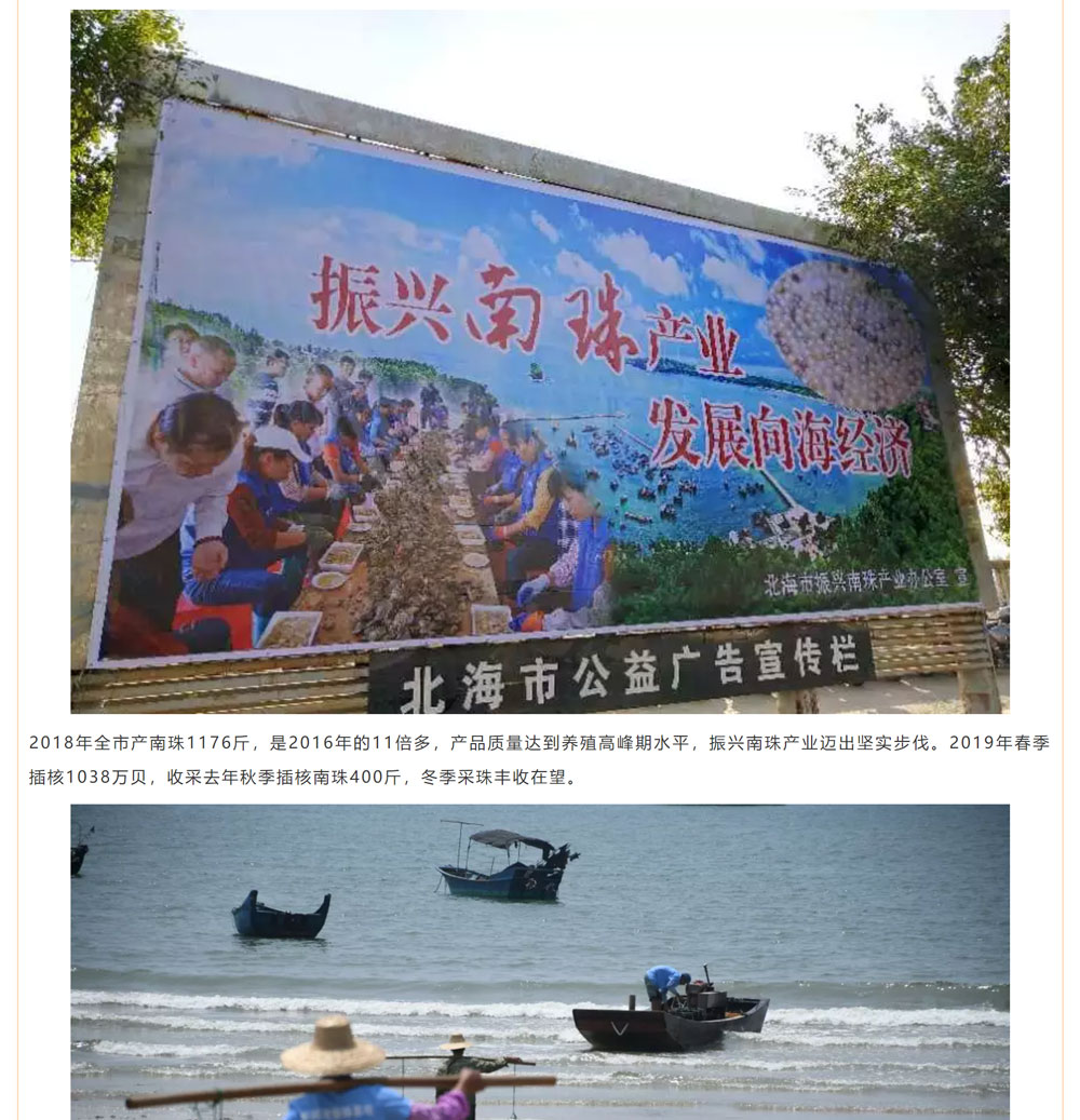 古老南珠，綻放異彩